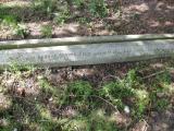 image of grave number 835649